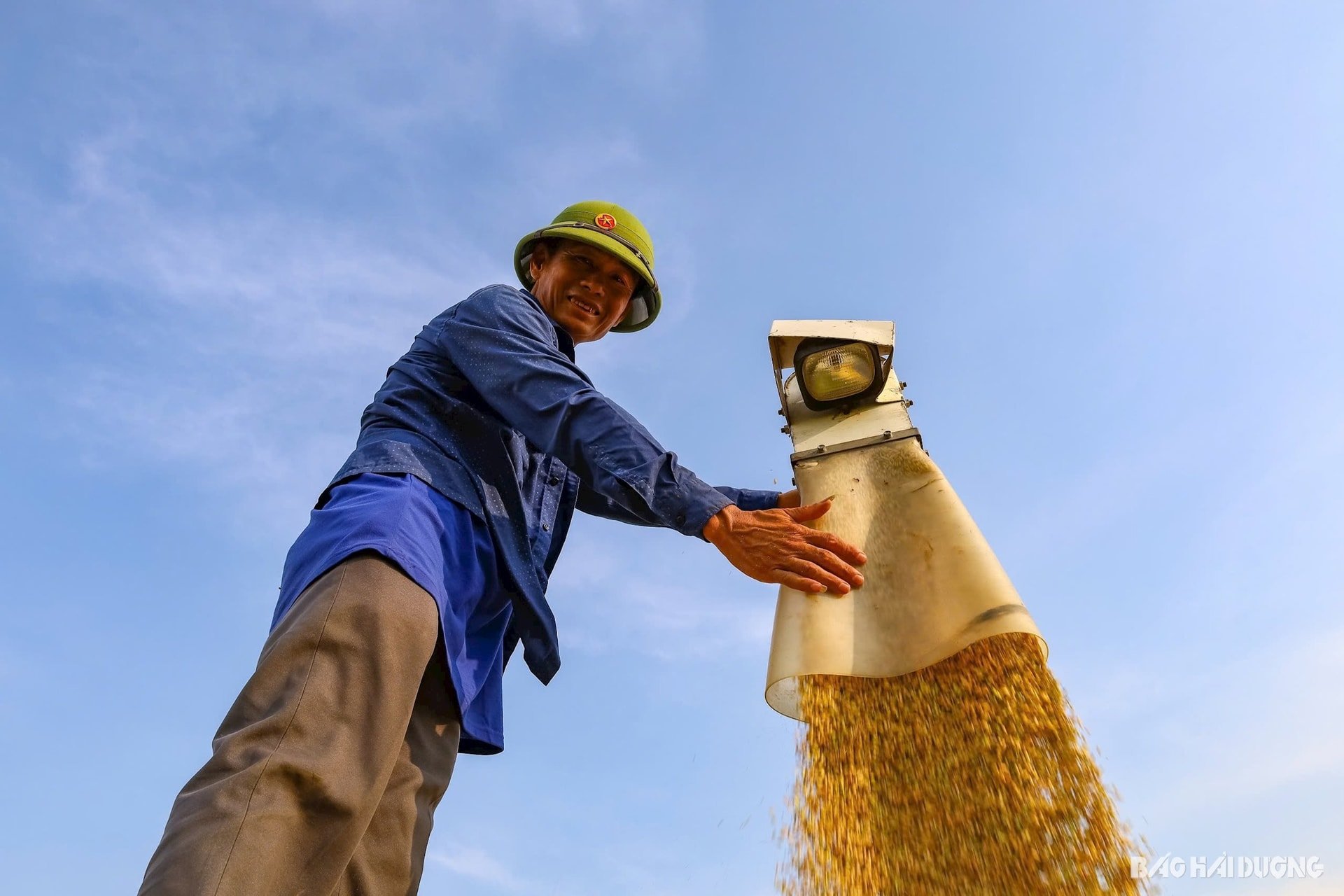 Một số huyện như Kim Thành, Bình Giang, Cẩm Giàng, năng suất lúa ước đạt 69 - 71,5 tạ/ha. Những giống lúa cho năng suất cao vụ này như Q5, TBR 225, Thiên ưu, Nếp Hương Bình... Nông dân bán thóc tươi tại ruộng từ 7.500 - 10.500 đồng/kg, tuỳ loại