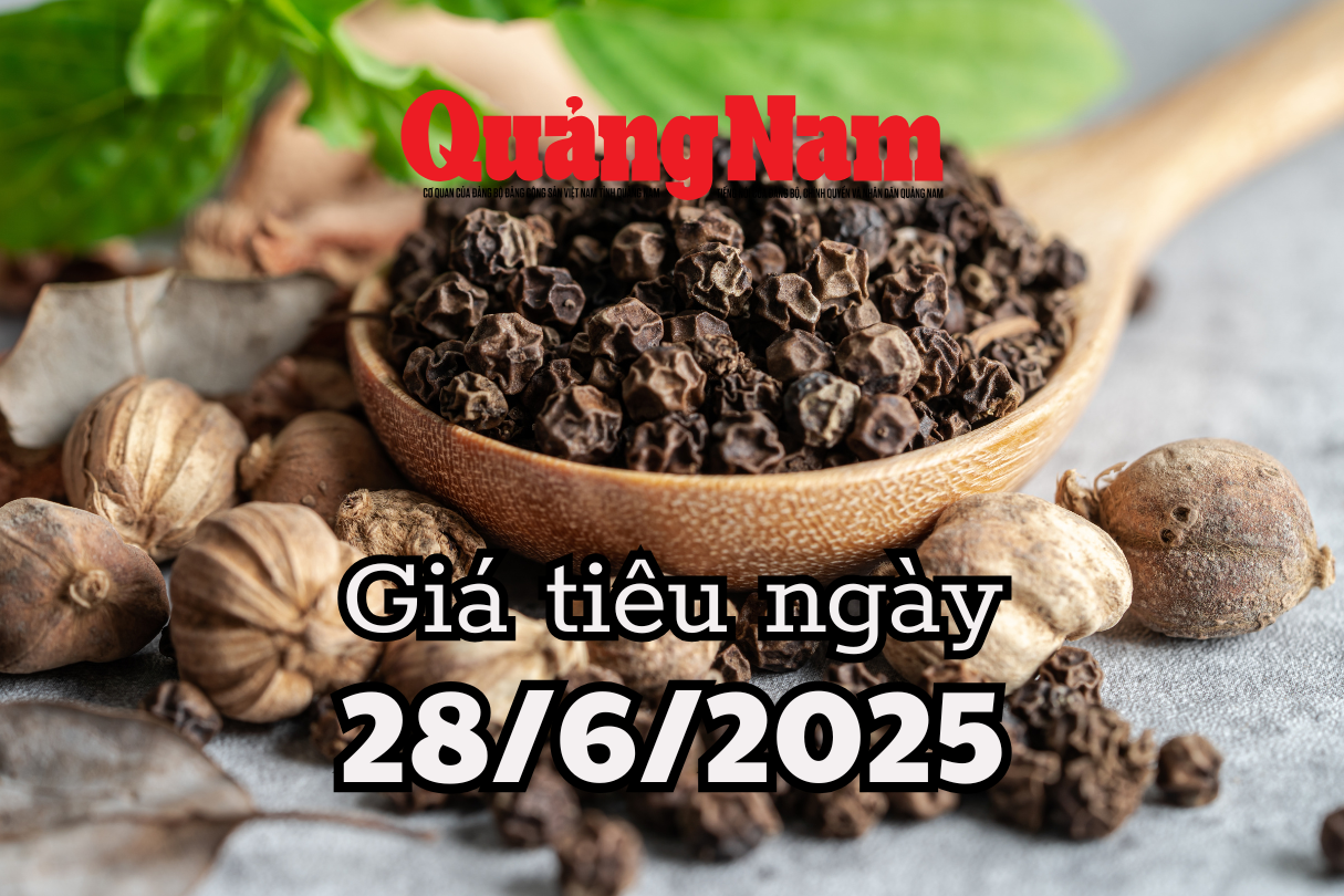 سعر الفلفل اليوم 28 يونيو 2025 با ريا وداك لاك وداك نونج يطاردون عن كثب