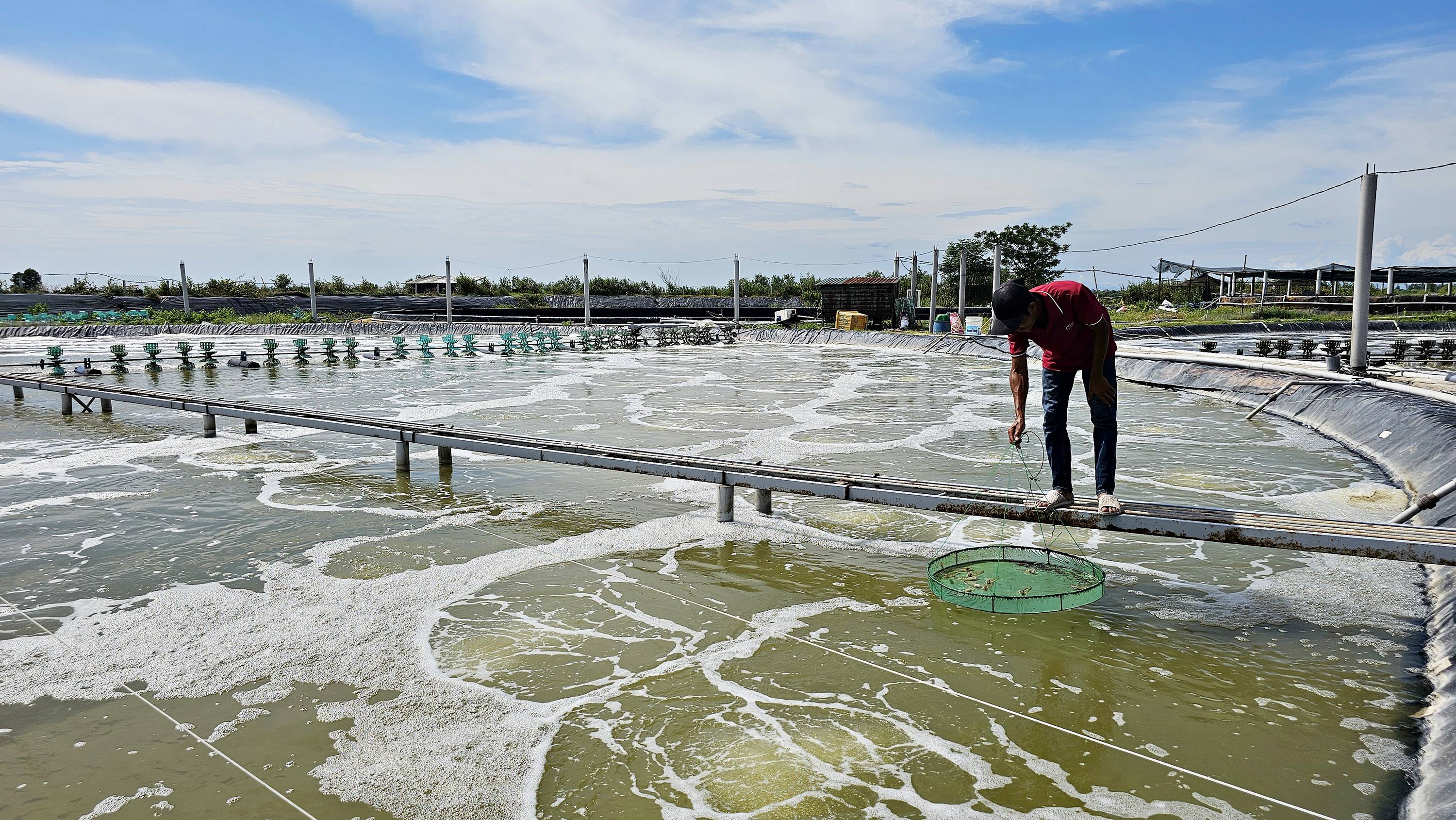 Protéger proactivement les produits de l'aquaculture de la chaleur