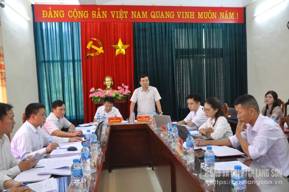 Leaders of the Department of Agriculture and Environment spoke at the inspection of the pilot operation of the two-level local government in Nhan Ly commune.