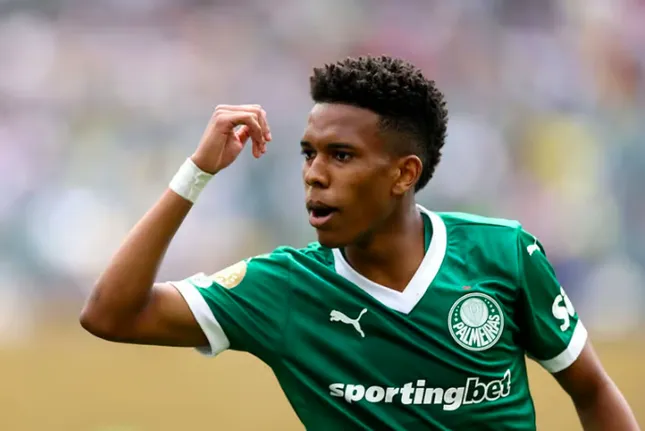 Trực tiếp Palmeiras vs Botafogo 0-0 (H2): Hiệp 2 bắt đầu ảnh 7