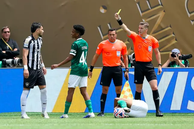 Trực tiếp Palmeiras vs Botafogo 0-0 (H2): Hiệp 2 bắt đầu ảnh 3