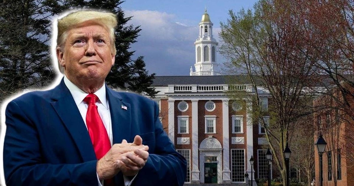 Harvard University offers contingency plan for international students