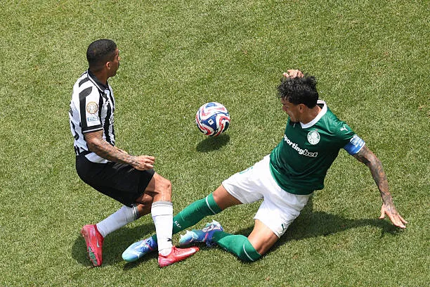 Trực tiếp Palmeiras vs Botafogo 0-0 (H2): Hiệp 2 bắt đầu ảnh 2