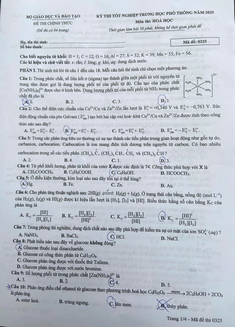 z6748486323991-b5d542cca1073444cbb096f6946af021.jpg