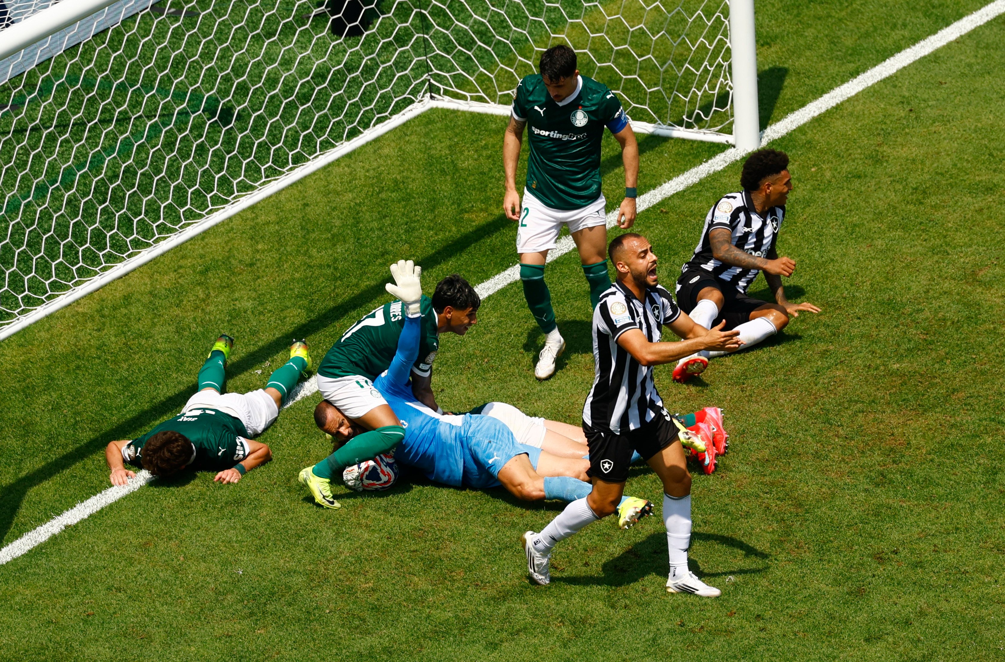 Palmeiras dau Botafogo anh 4