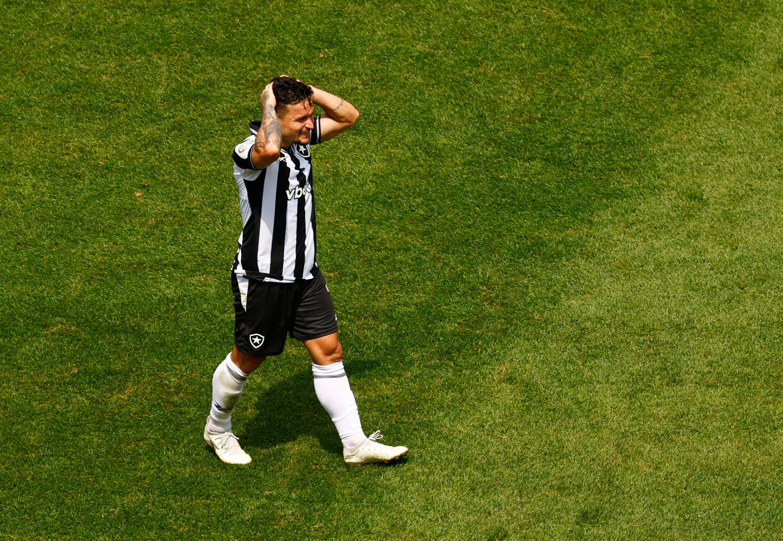 Palmeiras dau Botafogo anh 3