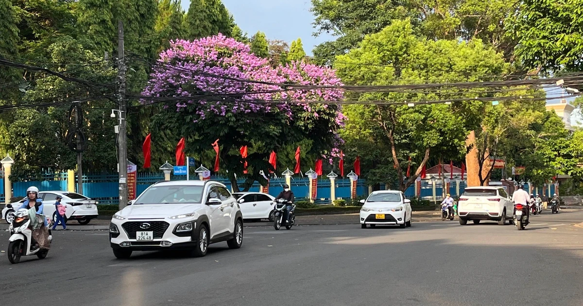 Gia Lai adjusts 2025 budget revenue and expenditure estimates after administrative unit rearrangement