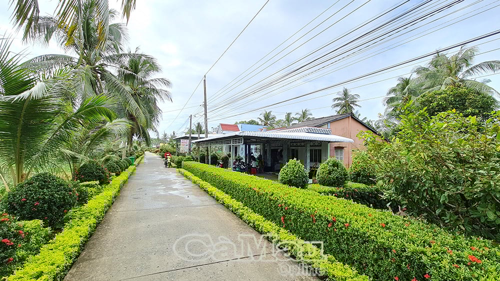 លក្ខណៈថ្មីនៅជនបទនៃឃុំ Phong Thanh Tay A ស្រុក Phuoc Long។