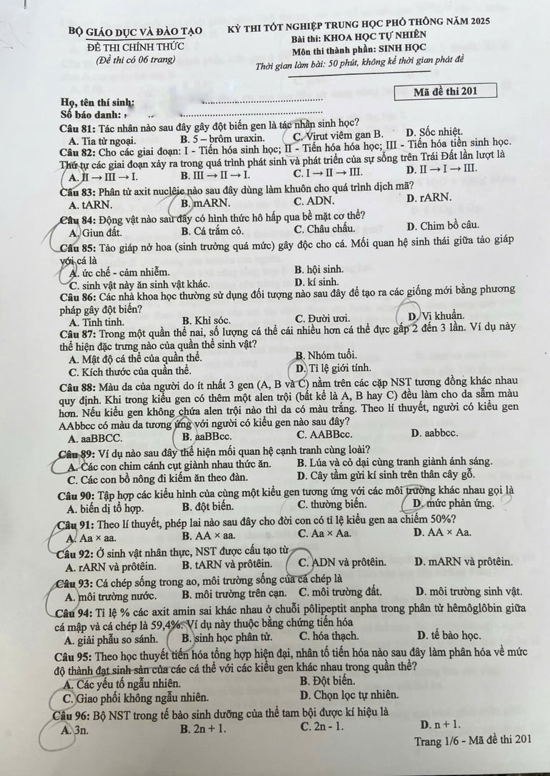 z6748653920307-a600399a842539d713017ba5e9a8b88e.jpg
