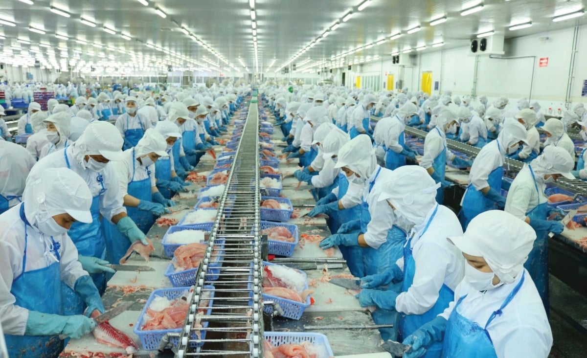 Công nhân chế biến tôm đông lạnh trong một nhà máy tại Việt Nam.