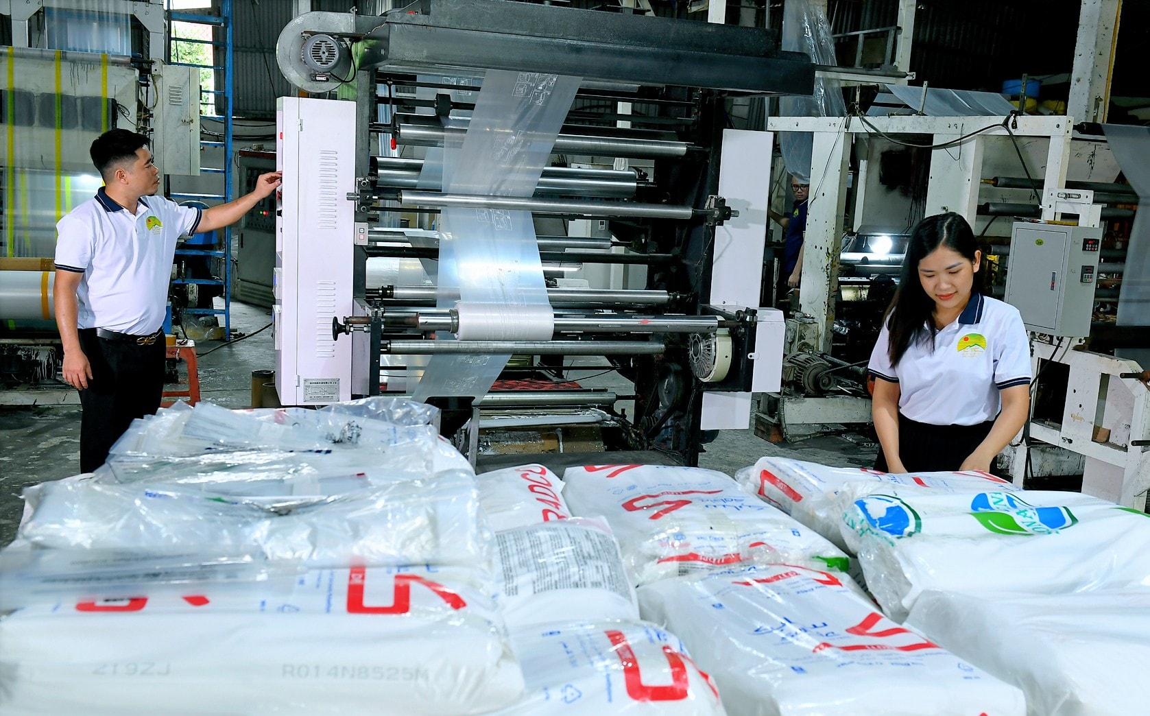 The number of newly established enterprises in Hai Duong increased by more than 30%