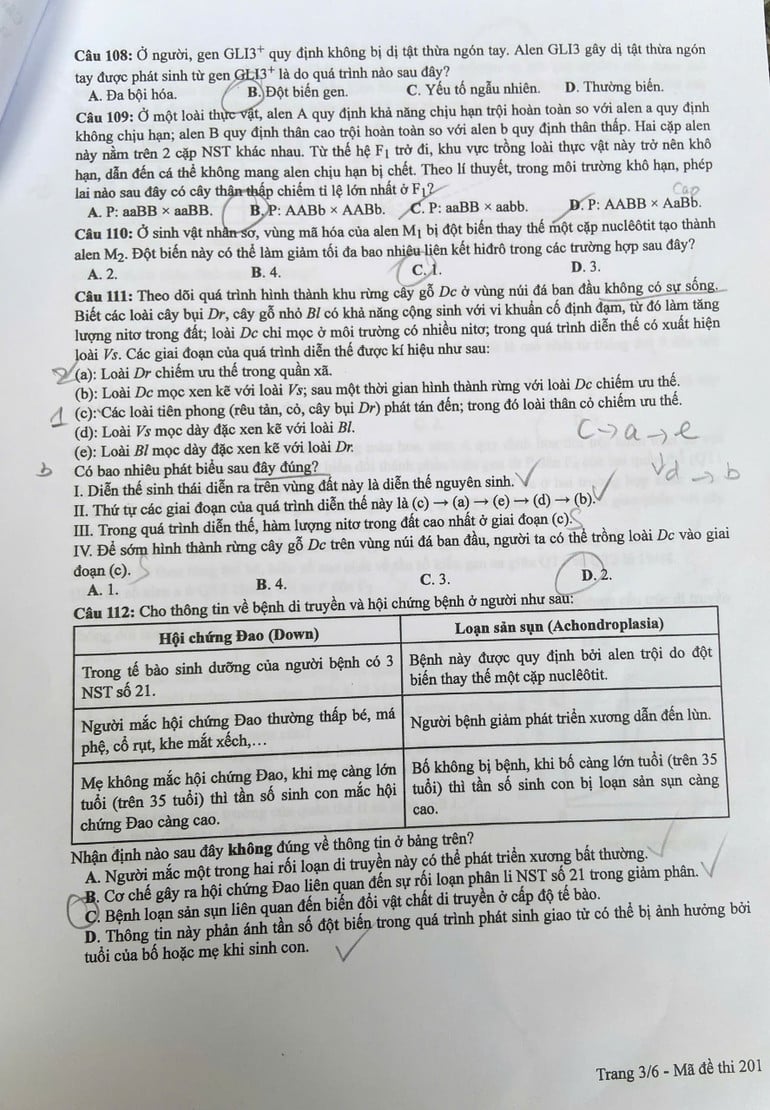 z6748654085125-9ced4536cd8946f3ad9085034b72d7e1.jpg