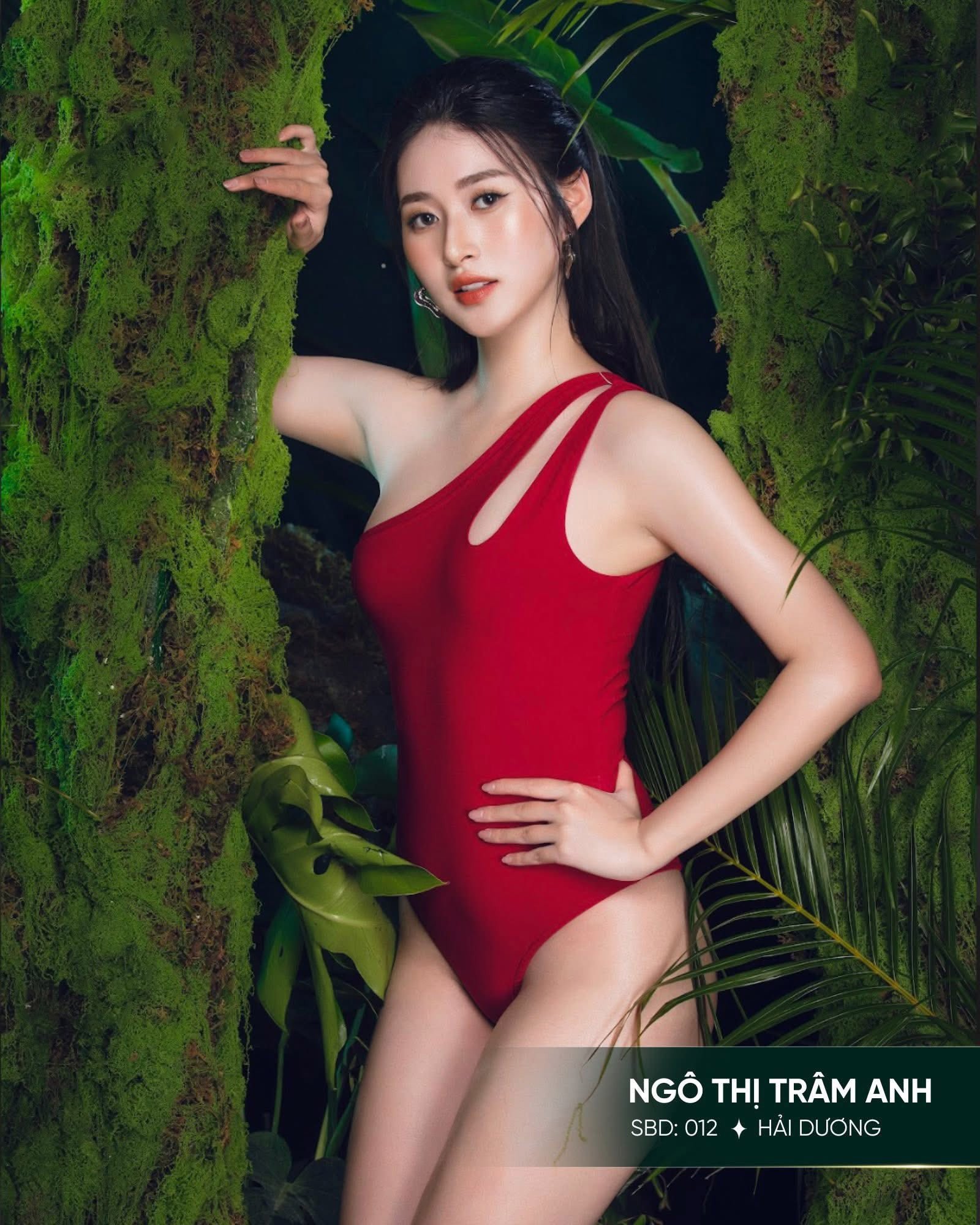Ngô Thị Trâm Anh sinh năm 2006, sở hữu chiều cao 1m73 cùng số đo ba vòng 89-65-98. Cô đang là sinh viên ngành Quản trị Kinh doanh, Học viện Phụ nữ Việt Nam.