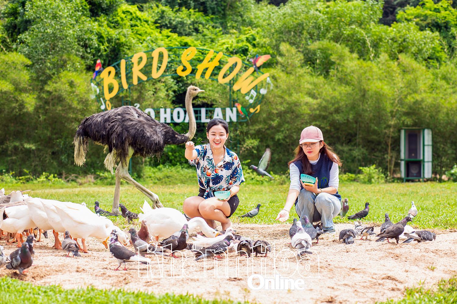 Du lịch tiếp tục có sự tăng trưởng ấn tượng. Trong ảnh: Du khách tại Khu du lịch Đảo Hoa Lan.