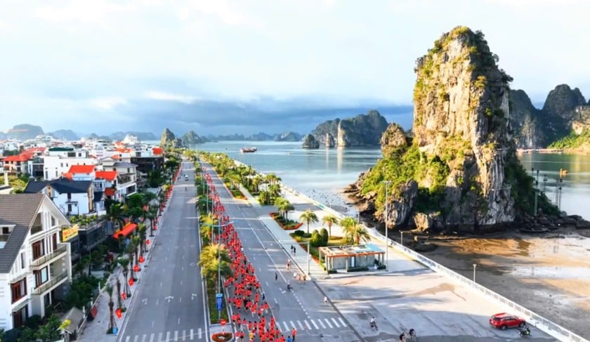 Giải chạy “Chung một quyết tâm - Vì cộng đồng không ma túy” năm 2025 tại Quảng Ninh đã thu hút hơn 5.000 vận động viên đến từ nhiều thành phần, lứa tuổi và các tỉnh, thành khác nhau.