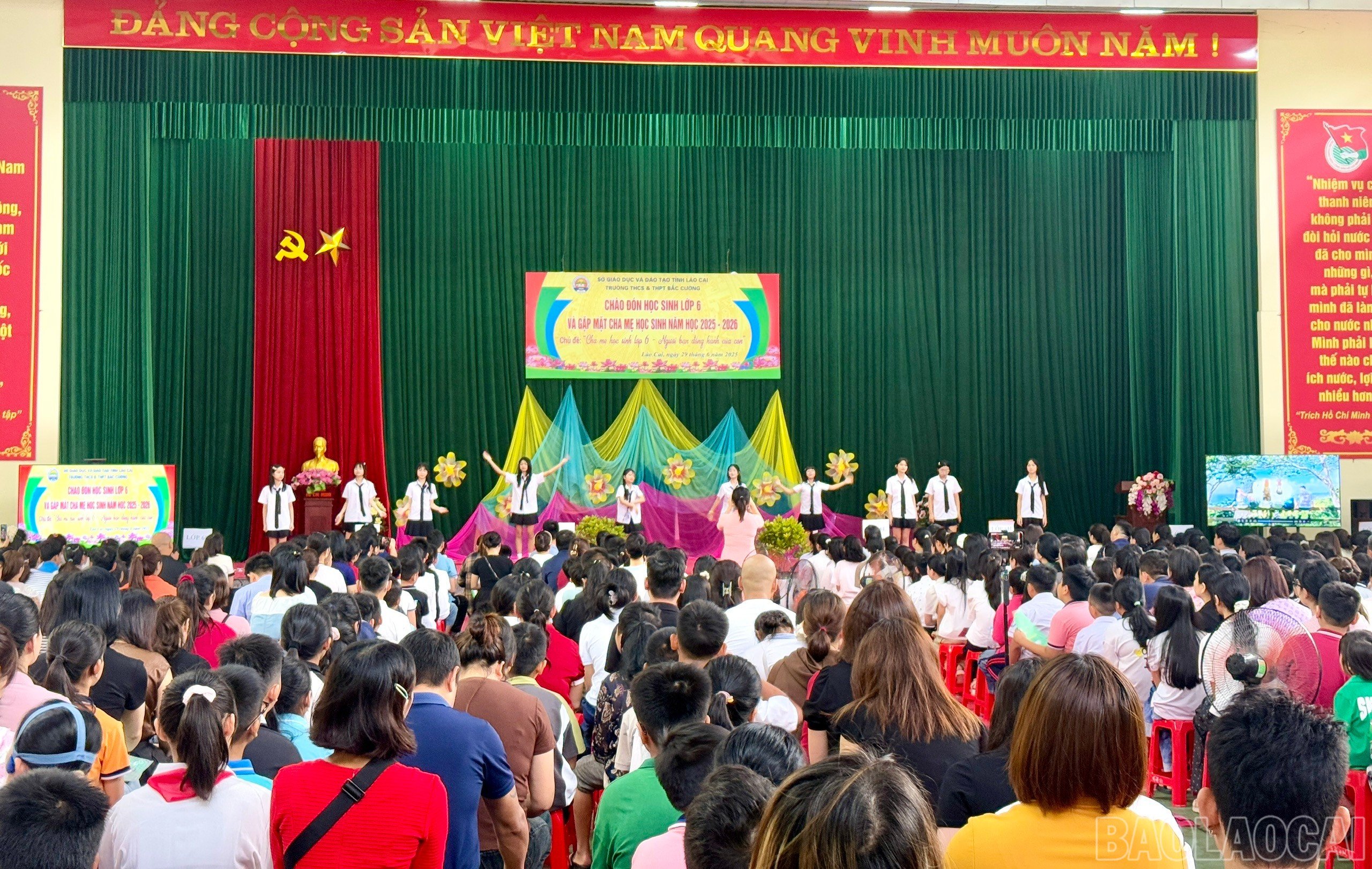 baolaocai-br_z6753112571386-565c9fd138e0a361a96a9b3277558261.jpg