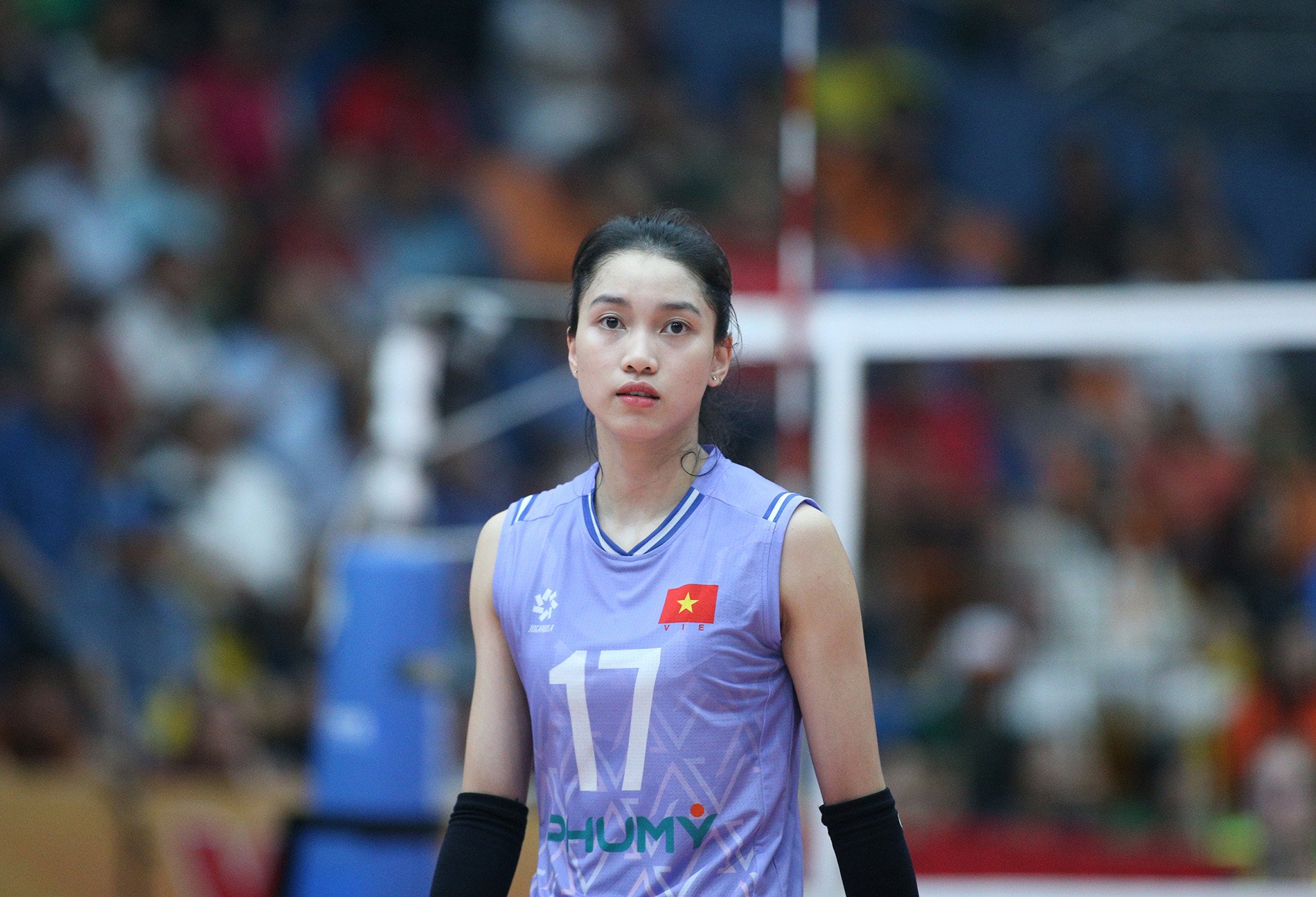 vtv cup 37.JPG