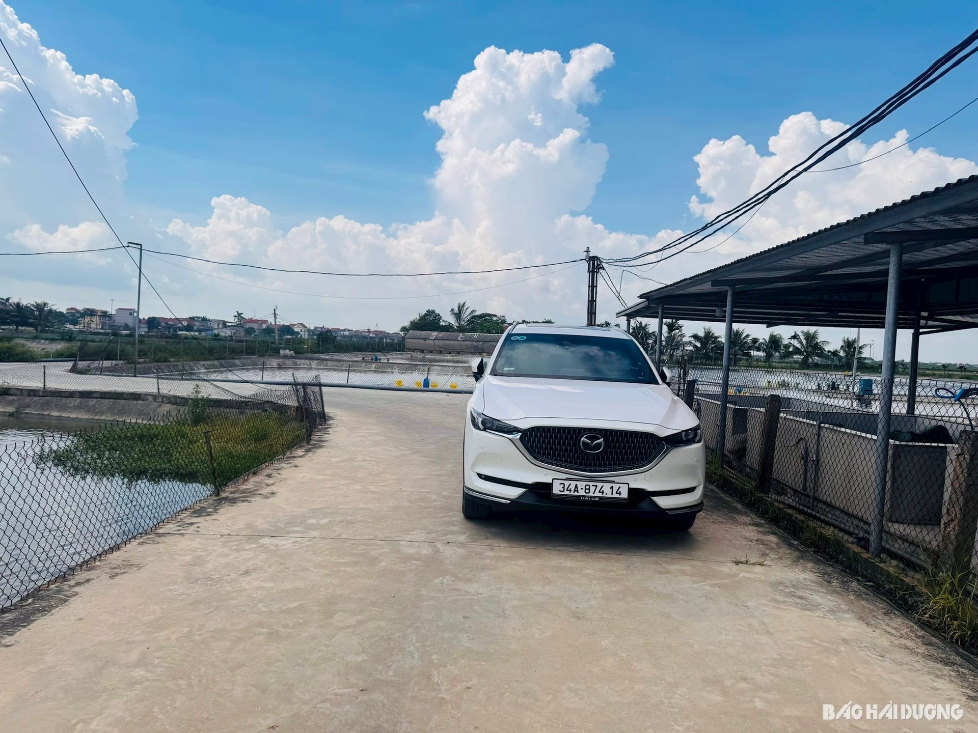 គ្រឿងសមុទ្រ ១