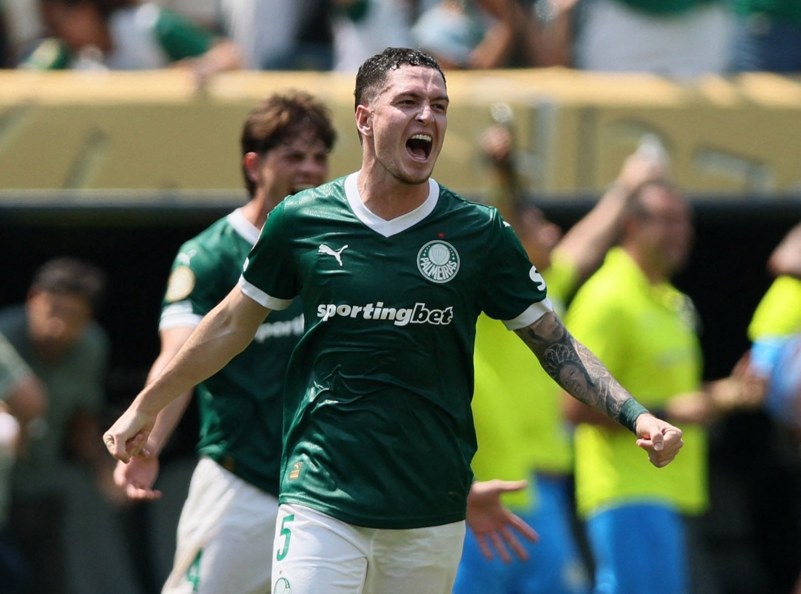 Palmeiras anh 1