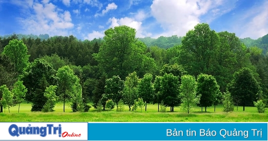 Tổ chức WWF tài trợ hơn 114,8 tỉ đồng thực hiện các giải pháp thuận thiên trong lĩnh vực lâm nghiệp và môi trường