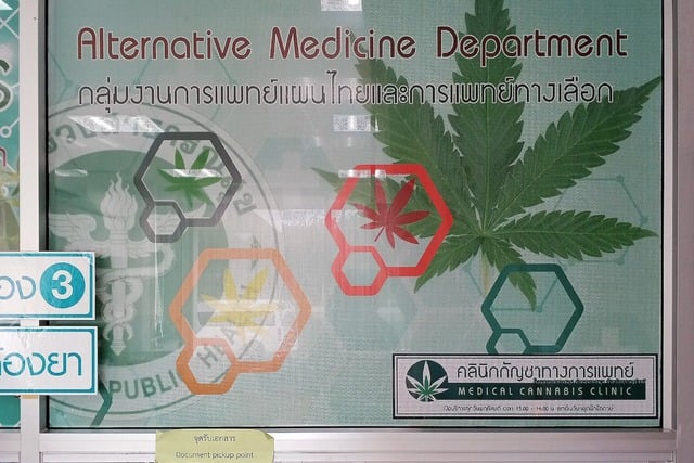 Thái Lan tái hình sự hóa cần sa Thái Lan sau ba năm tự do hút cần sa - Ảnh 2.