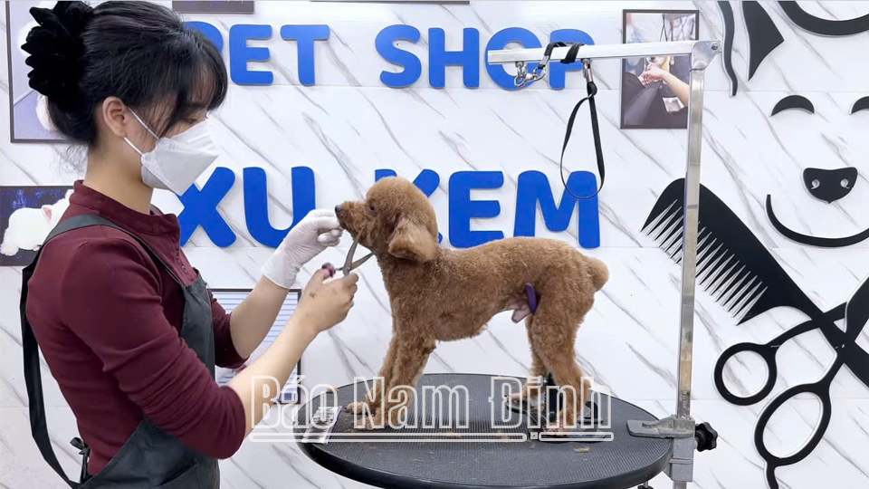 يقوم الموظفون في سوبر ماركت Xu Kem Pet، في شارع Hang Thao (مدينة نام دينه) بقص شعر الحيوانات الأليفة.