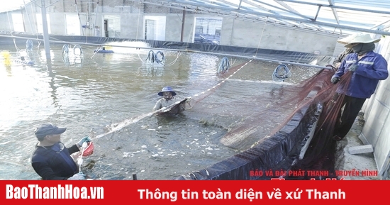 Investment in concentrated aquaculture areas