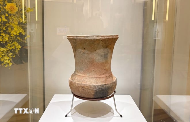 ttxvn-bao-vat-quoc-gia-nhung-kiet-tac-di-san-tai-thanh-pho-ho-chi-minh.jpg