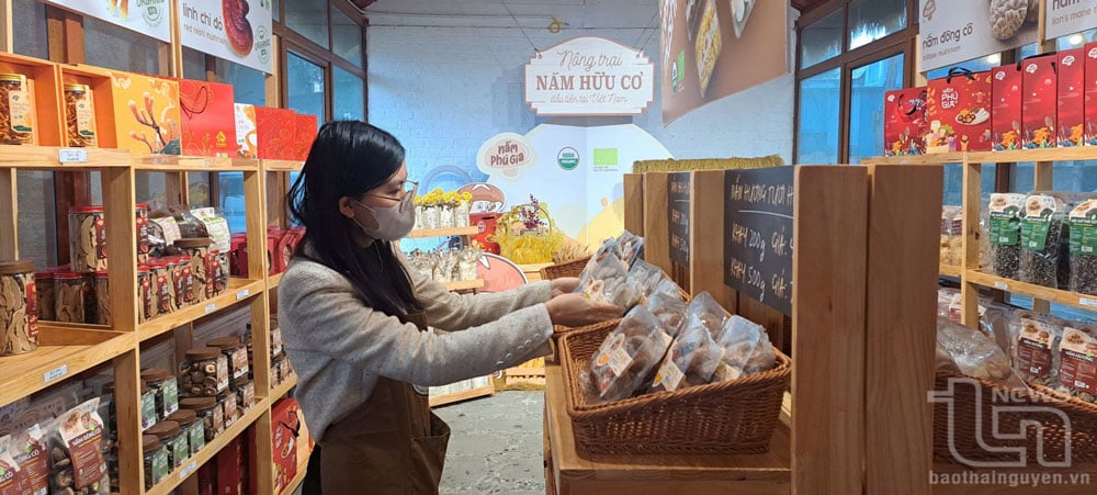 Công ty TNHH Công nghệ sinh học nấm Phú Gia, địa chỉ tại thị trấn Hùng Sơn (Đại Từ) đã xuất khẩu sản phẩm nấm đến các thị trường xuất khẩu khó tính, như: Nhật Bản, Hà Lan, Mỹ, Úc, Đài Loan…