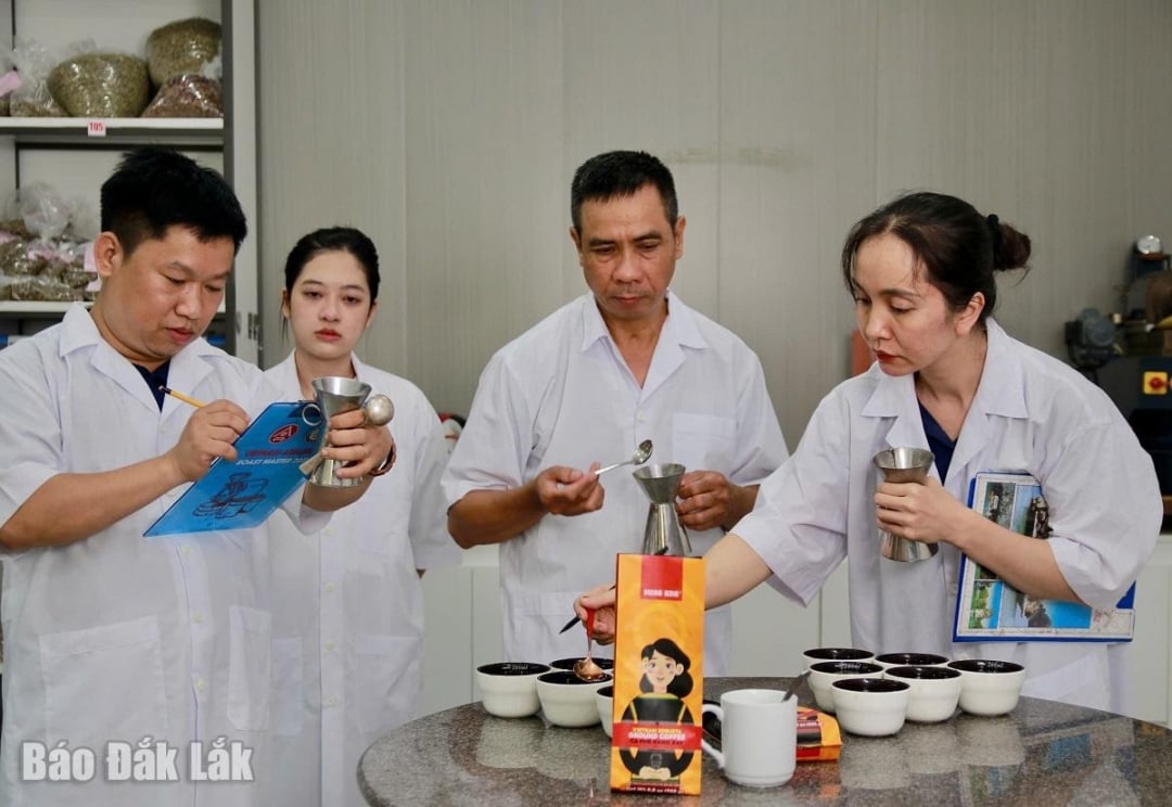 Một doanh nghiệp chế biến cà phê thương phẩm kiểm tra, đánh giá chất lượng sản phẩm trước khi xuất khẩu.