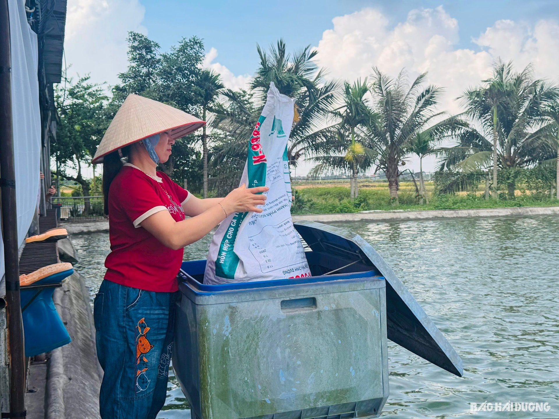 គ្រឿងសមុទ្រ ២