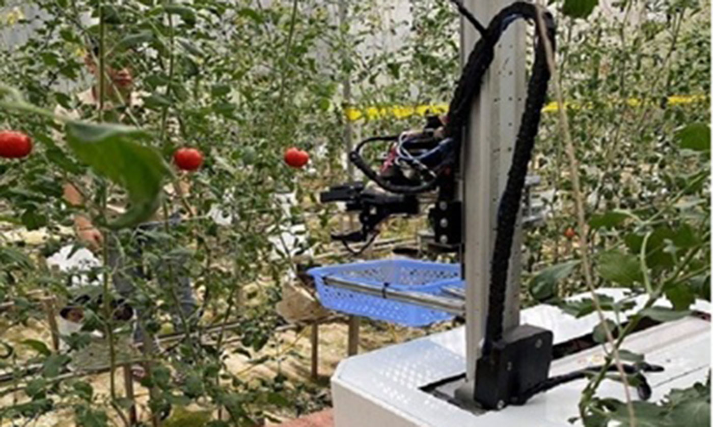 Robot thu hoạch trái cây tự động (Nguồn: www.vista.gov.vn).