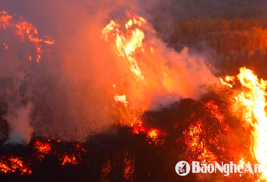 반 트루옹 므메르트