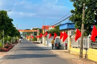 A model new rural residential area in Giao Thuy district (Nam Dinh).