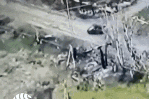3.gif