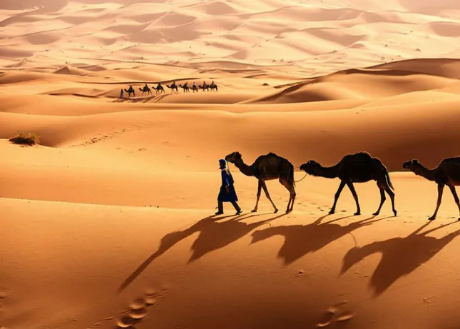 Sahara là sa mạc lớn nhất thế giới?