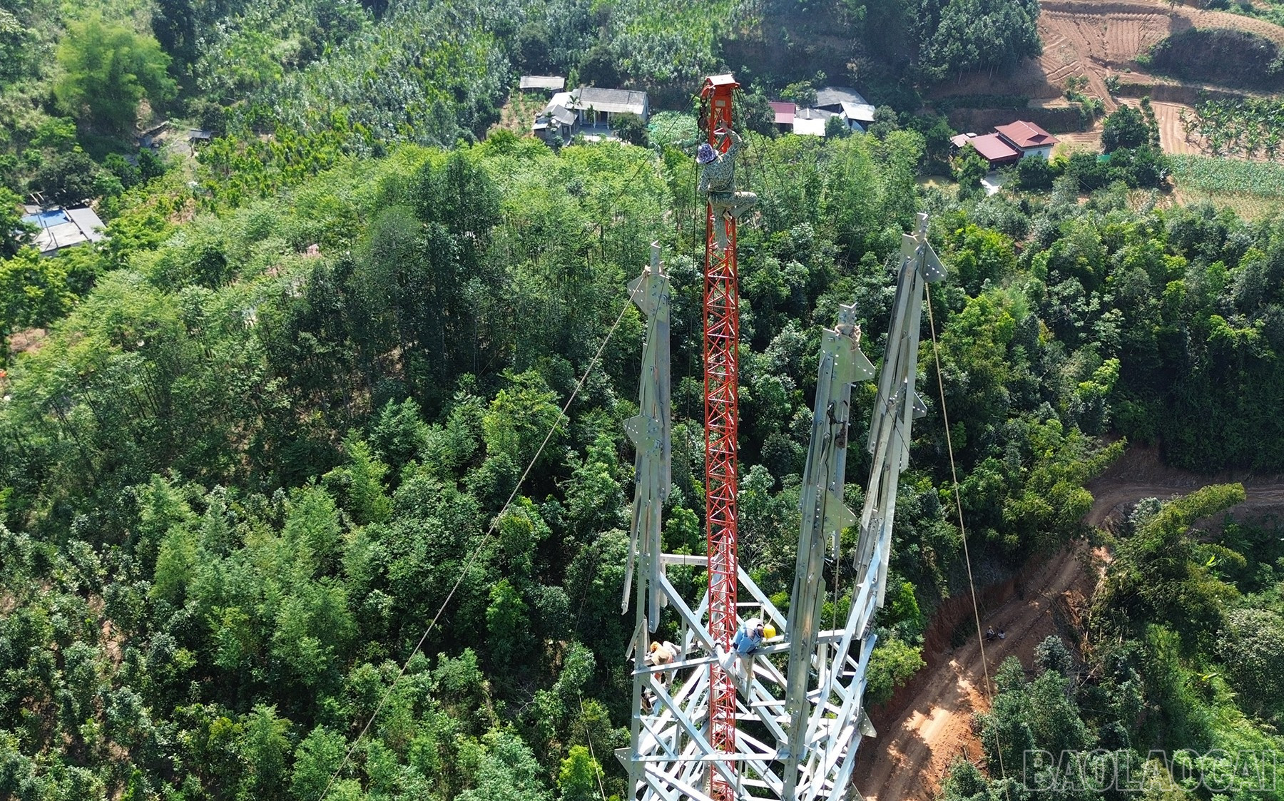 baolaocai-br_dji-0858.jpg