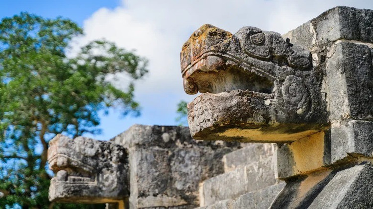 maya-1.jpg