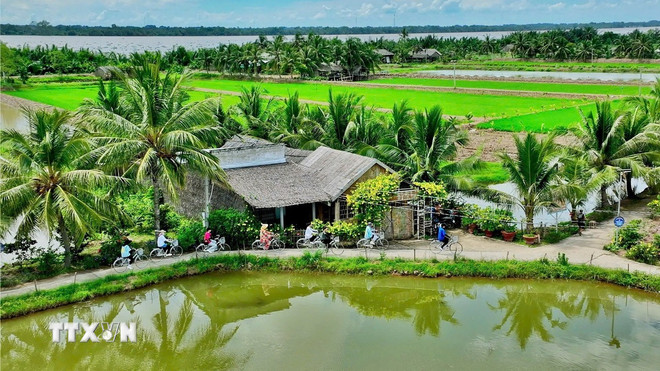 ttxvn-du-lich-con-chim-tra-vinh-resize.jpg