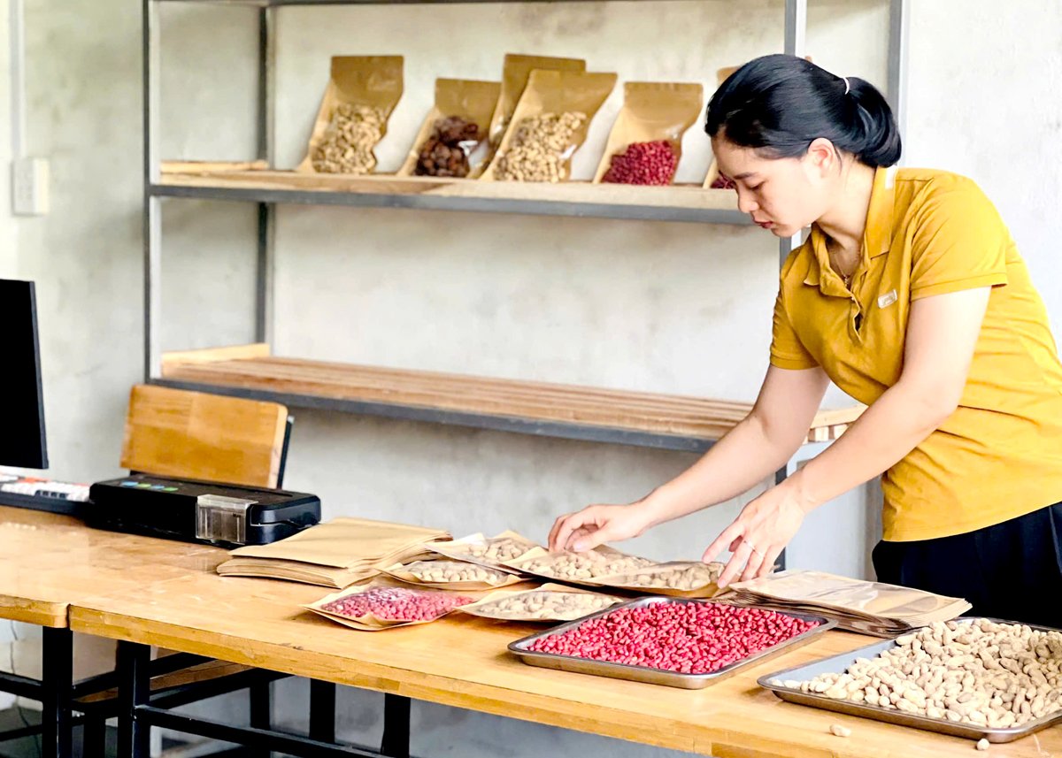Chị Vàng Thị Thêm, thành viên HTX Thương mại Dịch vụ và sản xuất Nông nghiệp Xín Mần đóng gói sản phẩm OCOP lạc đỏ Xín Mần.