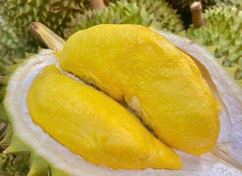 9 biện pháp thúc đẩy xuất khẩu sầu riêng- Ảnh 1.