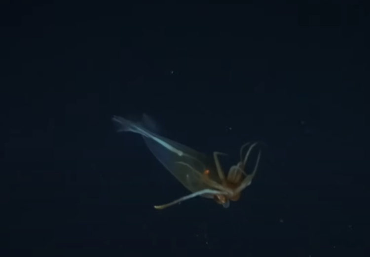 8-4406.png