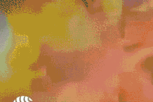 16.gif