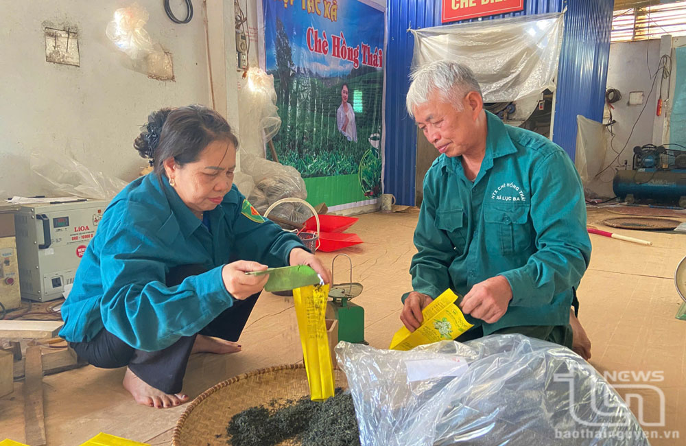 Mme Nguyen Thi Thai, directrice de la coopérative de thé Hong Thai, a contribué à élever le niveau des produits de thé Luc Ba sur le marché.