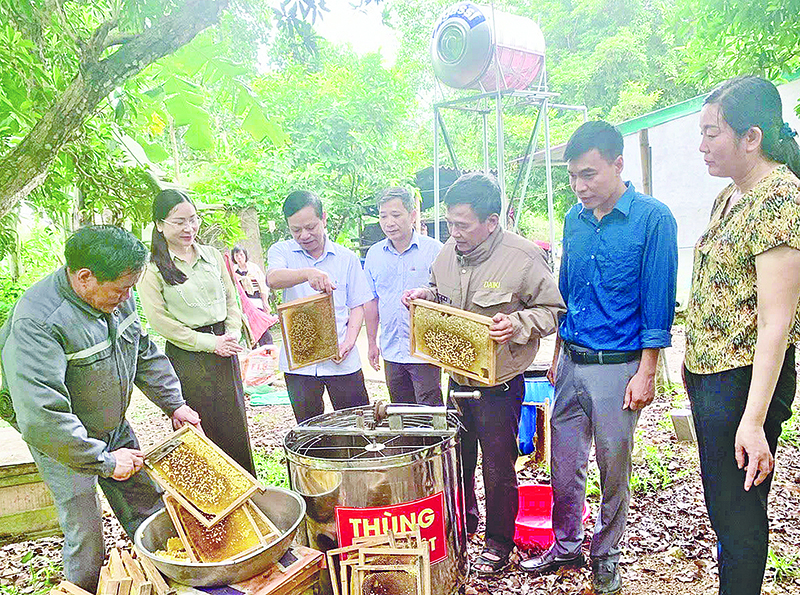 នៅពេលដែលកសិករចាប់យកការផ្លាស់ប្តូរឌីជីថល