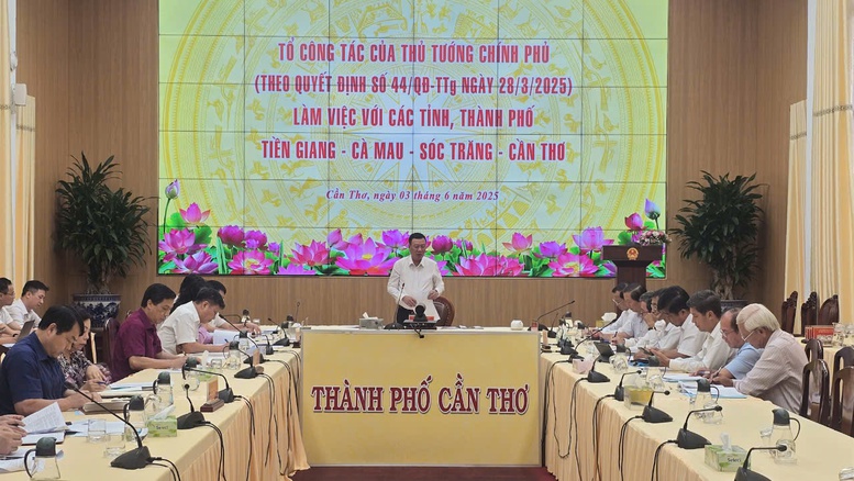 Tổng Thanh tra Chính phủ làm việc với 4 tỉnh ĐBSCL về giải quyết khiếu nại, tố cáo kéo dài, vượt cấp- Ảnh 1.