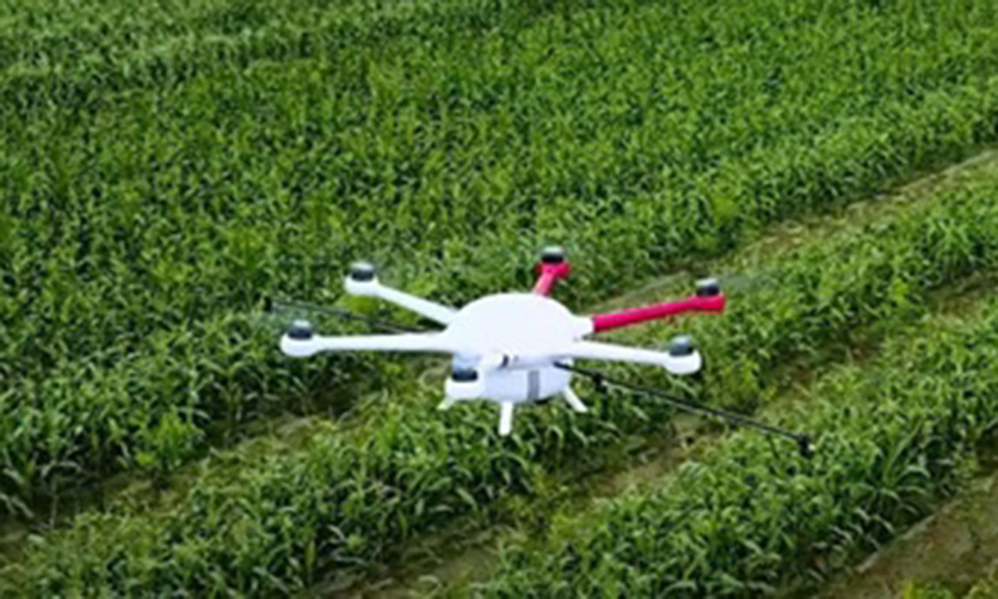 Chăm sóc cánh đồng lớn cùng Drone AI (Nguồn: Báo Sài Gòn giải phóng).
