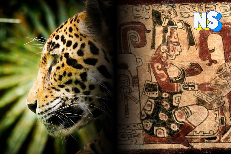 maya-5.jpg