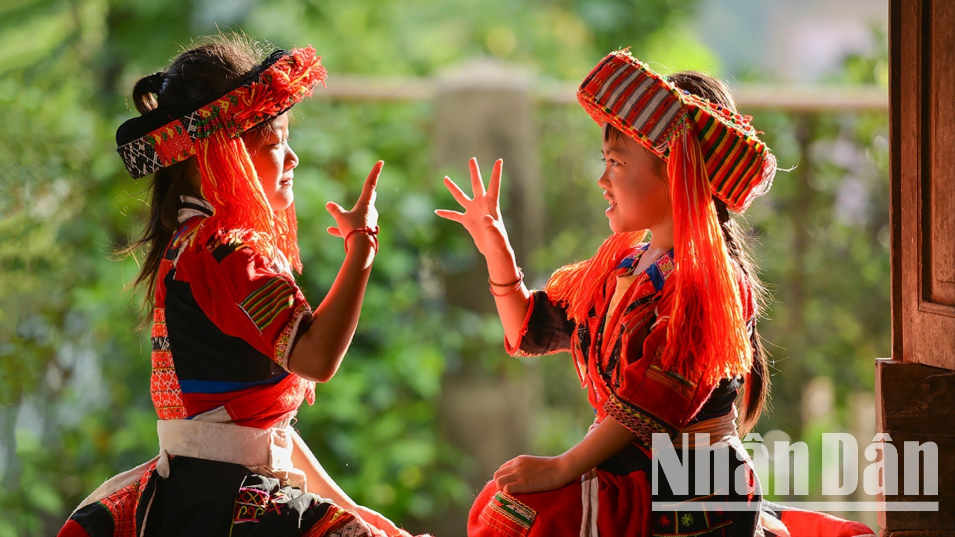 dsc-6765-342.jpg
